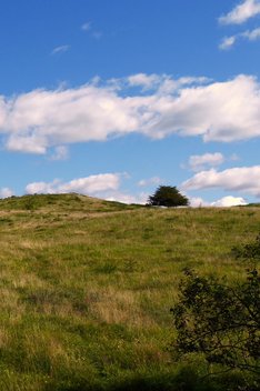 Hiddensee